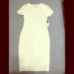 Ladies dress with pearls sleeves